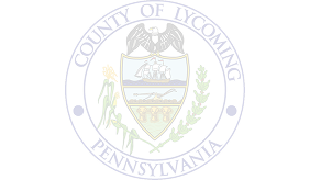 _assets_/images/lycoming-logo.png